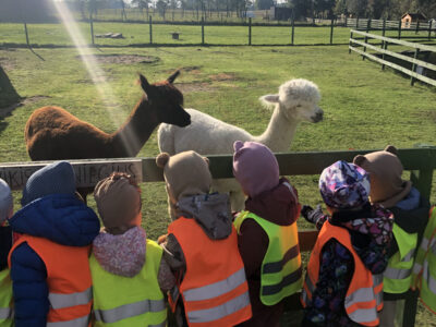 IKIMOKYKLINĖS „PELĖDŽIUKŲ“ GRUPĖS IŠVYKA Į „OŽKA MALĖ“ ŪKĮ