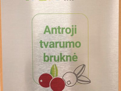 DARŽELIUI ĮTEIKTAS „TVARI MOKYKLA 2030“ ĮVERTINIMAS – DVI BRUKNĖS