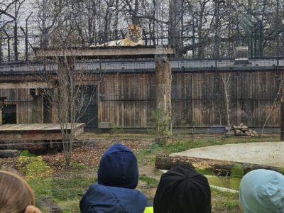 EDUKACIJA „KAS PADĖJO KIAUŠINĮ?“ EDUKACIJA „KAS PADĖJO KIAUŠINĮ?“