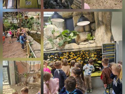 IŠVYKA Į LIETUVOS ZOOLOGIJOS SODĄ IŠVYKA Į LIETUVOS ZOOLOGIJOS SODĄ